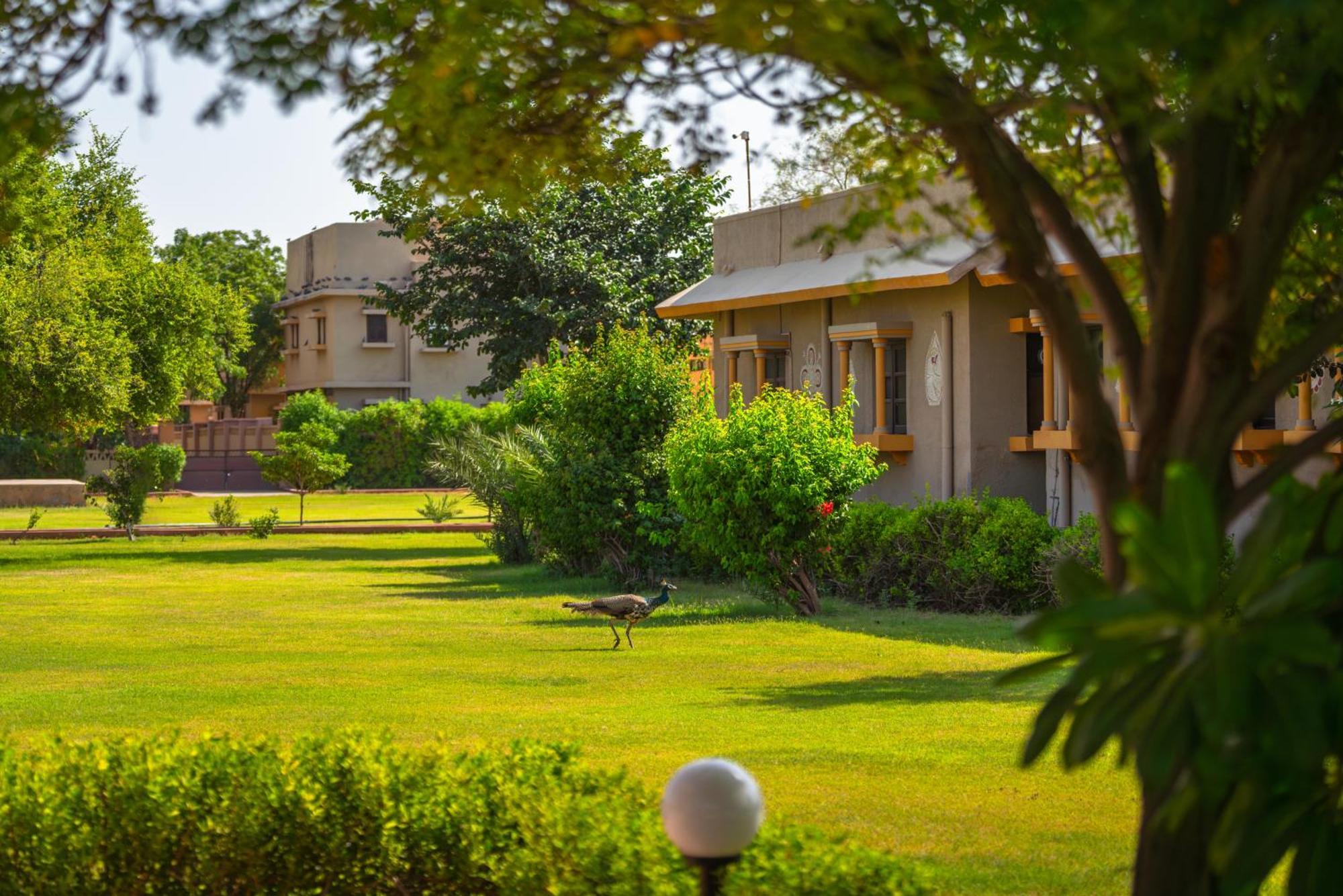 Thar Oasis Resort And Camp Dechu Экстерьер фото